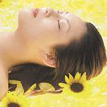DreamStream
