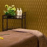 キャビン・ミィモザア